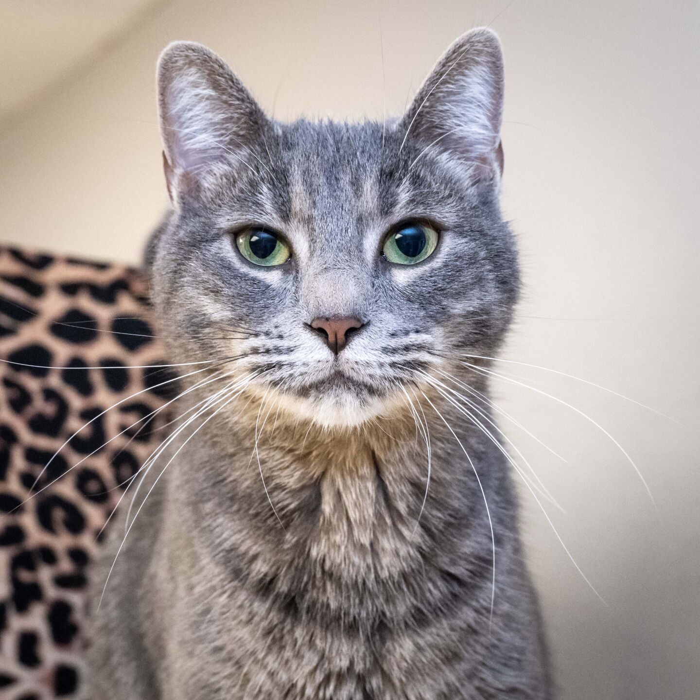 Sabrina
